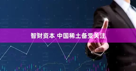 智财资本 中国稀土备受关注