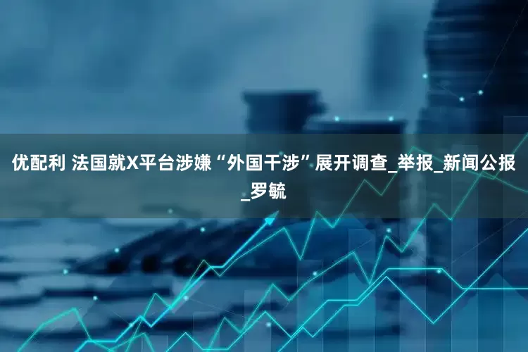 优配利 法国就X平台涉嫌“外国干涉”展开调查_举报_新闻公报_罗毓