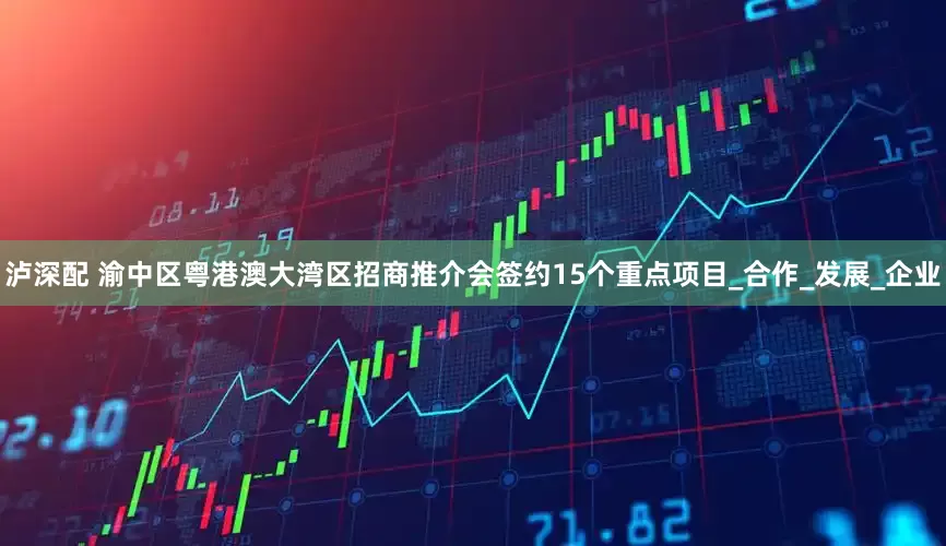 泸深配 渝中区粤港澳大湾区招商推介会签约15个重点项目_合作_发展_企业
