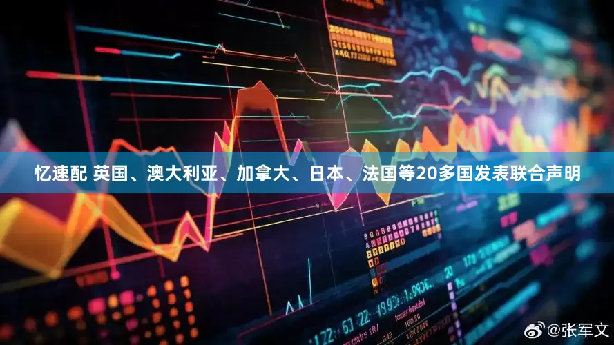 忆速配 英国、澳大利亚、加拿大、日本、法国等20多国发表联合声明
