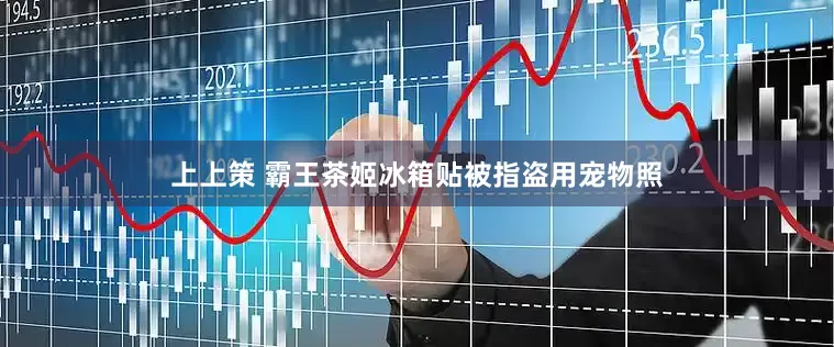 上上策 霸王茶姬冰箱贴被指盗用宠物照